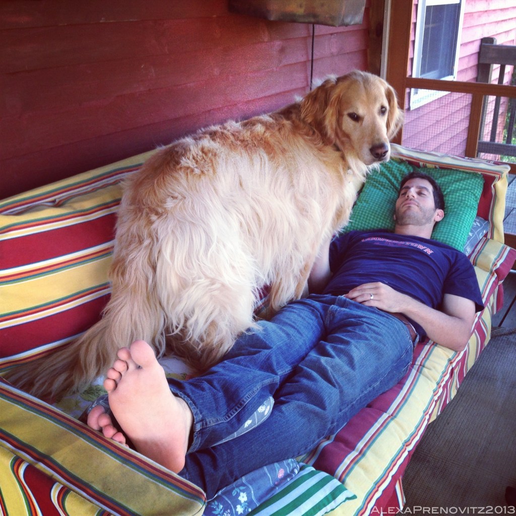 Robert does not have a cup of coffee and also appears to be sleeping.  Murphy, dino-dog #1, has decided he’s fair game.